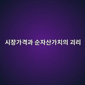 시장가격과 순자산가치의 괴리 발생 원인 6 ec8b9cec9ea5eab080eab2a9eab3bc ec889cec9e90ec82b0eab080ecb998ec9d98 eab4b4eba6ac 1784976376