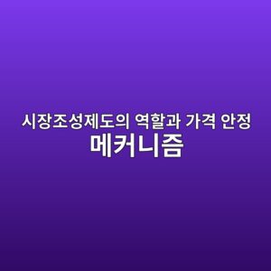 시장조성제도의 역할과 가격 안정 메커니즘 3 ec8b9cec9ea5eca1b0ec84b1eca09ceb8f84ec9d98 ec97aded95a0eab3bc eab080eab2a9 ec9588eca095 eba994ecbba4eb8b88eca698 1784976681