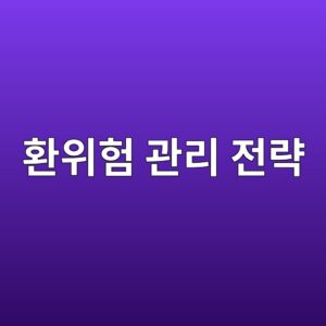 환위험 관리 전략의 이해와 적용 사례 5 ed9998ec9c84ed9798 eab480eba6ac eca084eb9eb5 1785026201
