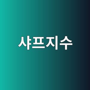 샤프지수로 비교하는 위험 대비 투자성과 5 ec83a4ed9484eca780ec8898 1787739779