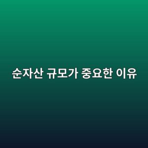 순자산 규모가 중요한 이유 1 ec889cec9e90ec82b0 eab79cebaaa8eab080 eca491ec9a94ed959c ec9db4ec9ca0 1785841046