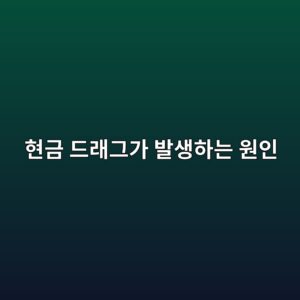 현금 드래그가 발생하는 원인 5 ed9884eab888 eb939ceb9e98eab7b8eab080 ebb09cec839ded9598eb8a94 ec9b90ec9db8 1786154007