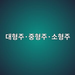 대형주·중형주·소형주의 시장 특성과 차이 6 eb8c80ed9895eca3bcc2b7eca491ed9895eca3bcc2b7ec868ced9895eca3bc 1789471438