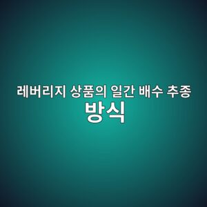 레버리지 상품의 일간 배수 추종 방식 3 eba088ebb284eba6aceca780 ec8381ed9288ec9d98 ec9dbceab084 ebb0b0ec8898 ecb694eca285 ebb0a9ec8b9d 1788681466