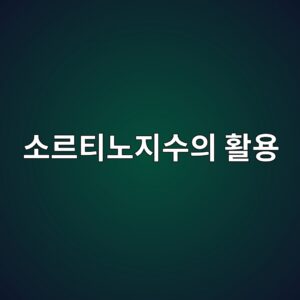 하방위험에 초점을 맞춘 소르티노지수의 활용 1 ec868ceba5b4ed8bb0eb85b8eca780ec8898ec9d98 ed999cec9aa9 1790207937