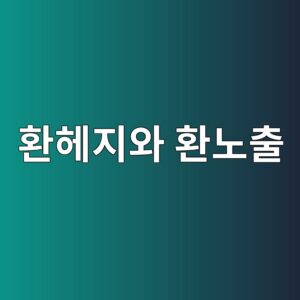 환헤지와 환노출 선택에 따른 환율 효과 4 ed9998ed97a4eca780ec9980 ed9998eb85b8ecb69c 1788347961